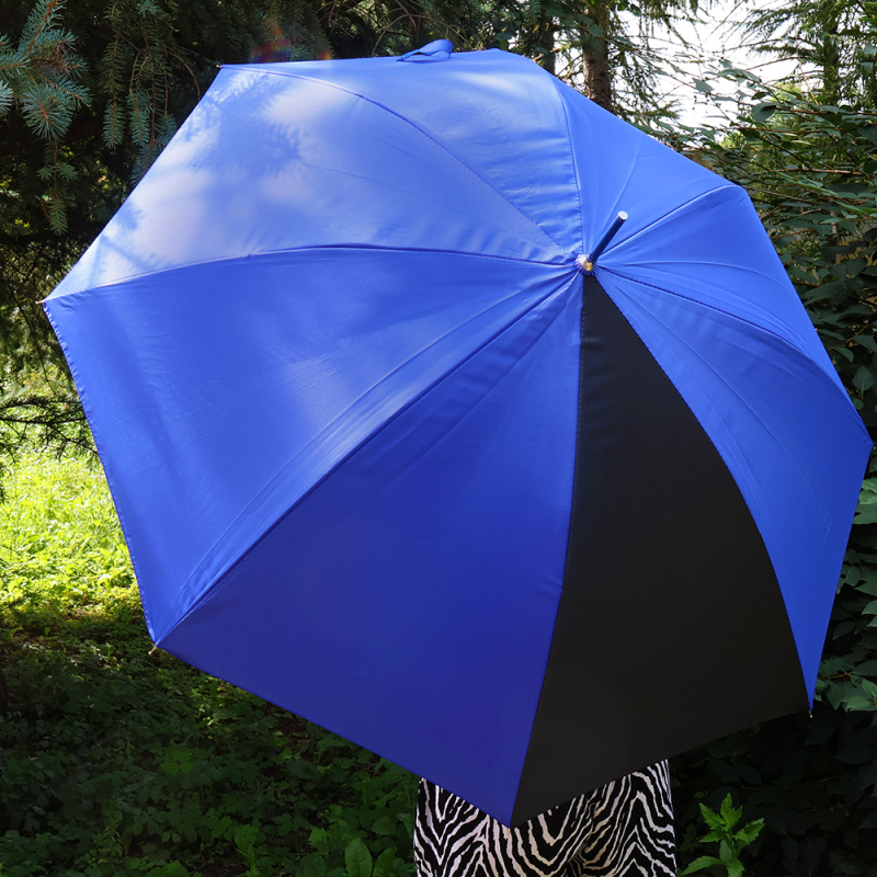 Сувенирная продукция Зонт-трость Vivo, синий Заказать