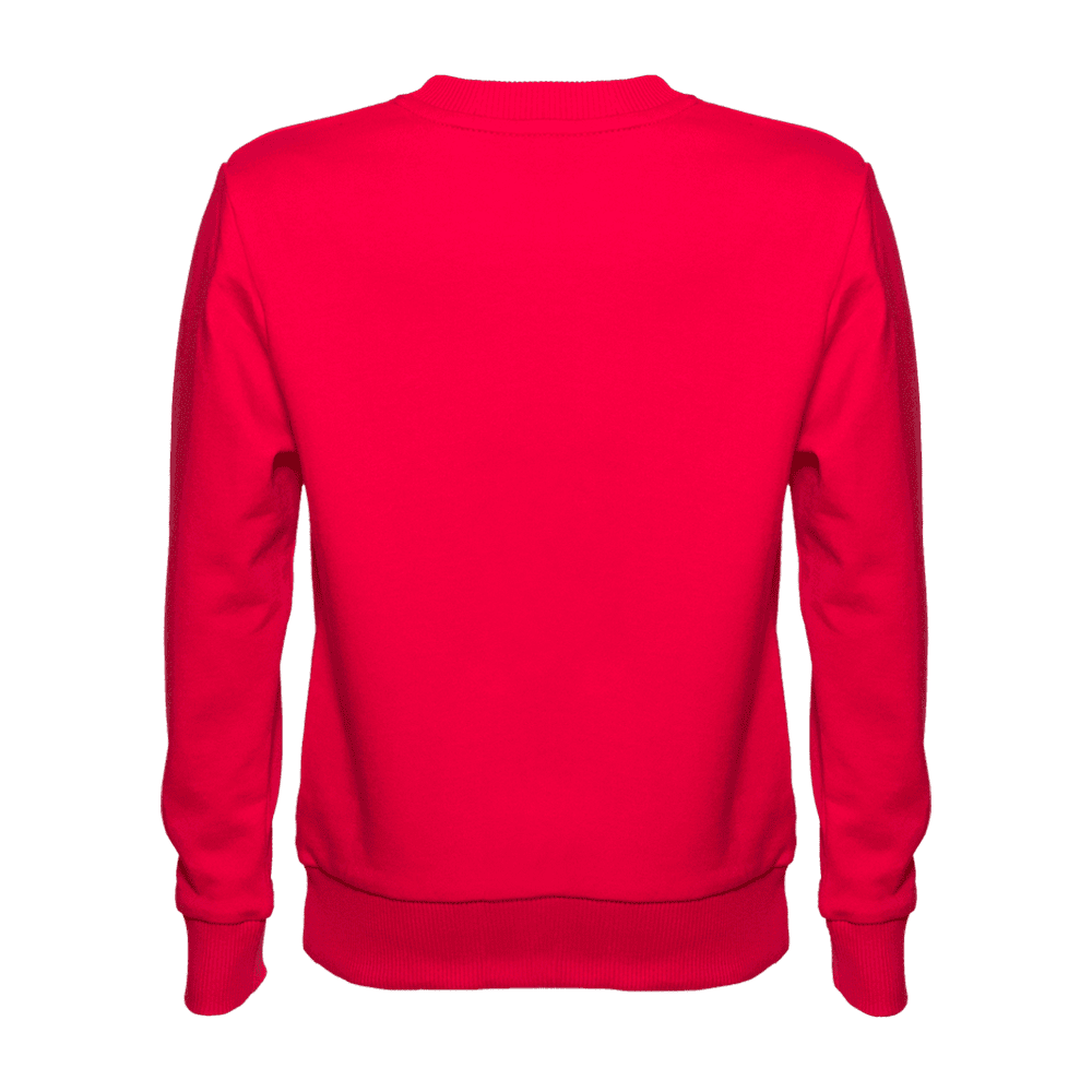 Сувенирная продукция Толстовка 63J Заказать