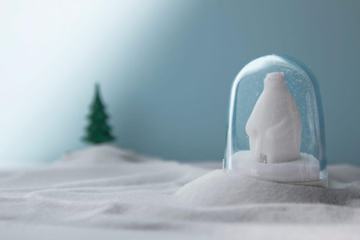 Сувенирная продукция Ёмкости для специй в наборе Animal Parade Заказать