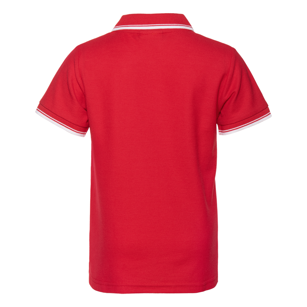 Сувенирная продукция Рубашка 04TJ Заказать