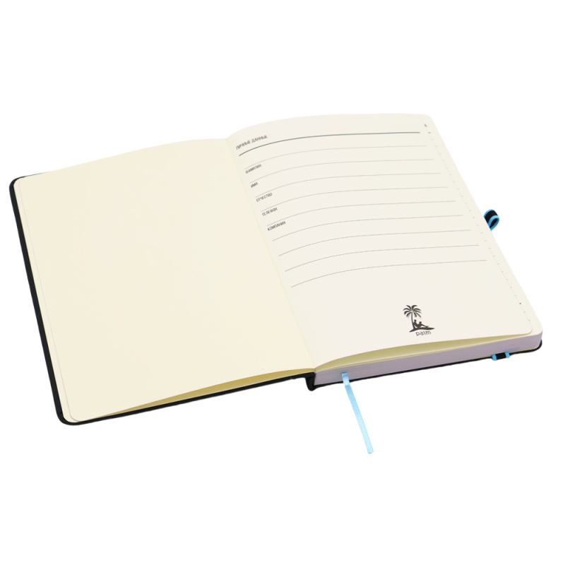 Сувенирная продукция Ежедневник A5 недатированный Sir Lewis в твёрдом переплёте, голубой кант Заказать