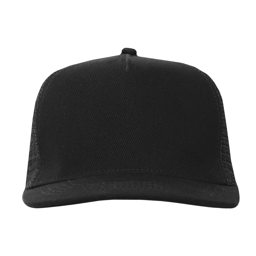 Сувенирная продукция Бейсболка прямой козырёк STAN 5 клиньев хлопок 330, 09 Заказать