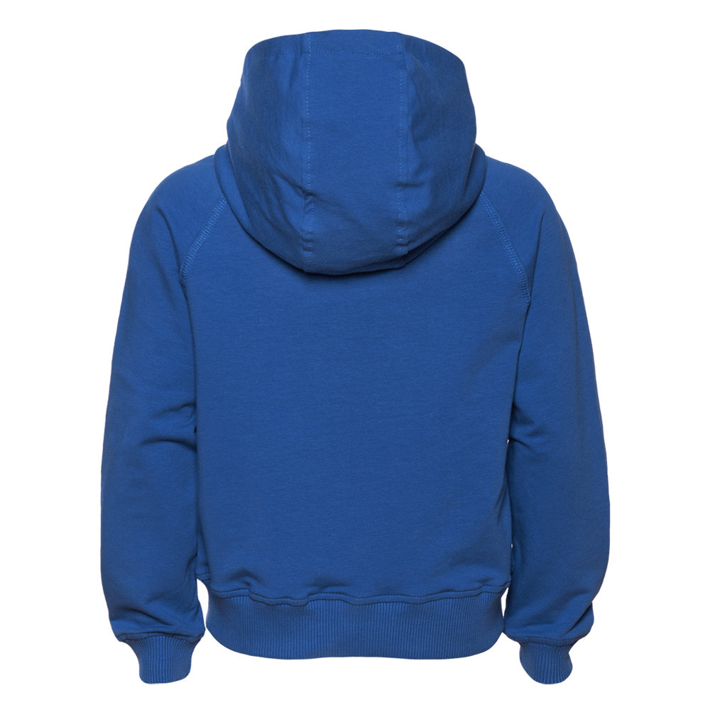 Сувенирная продукция Толстовка 61J Заказать