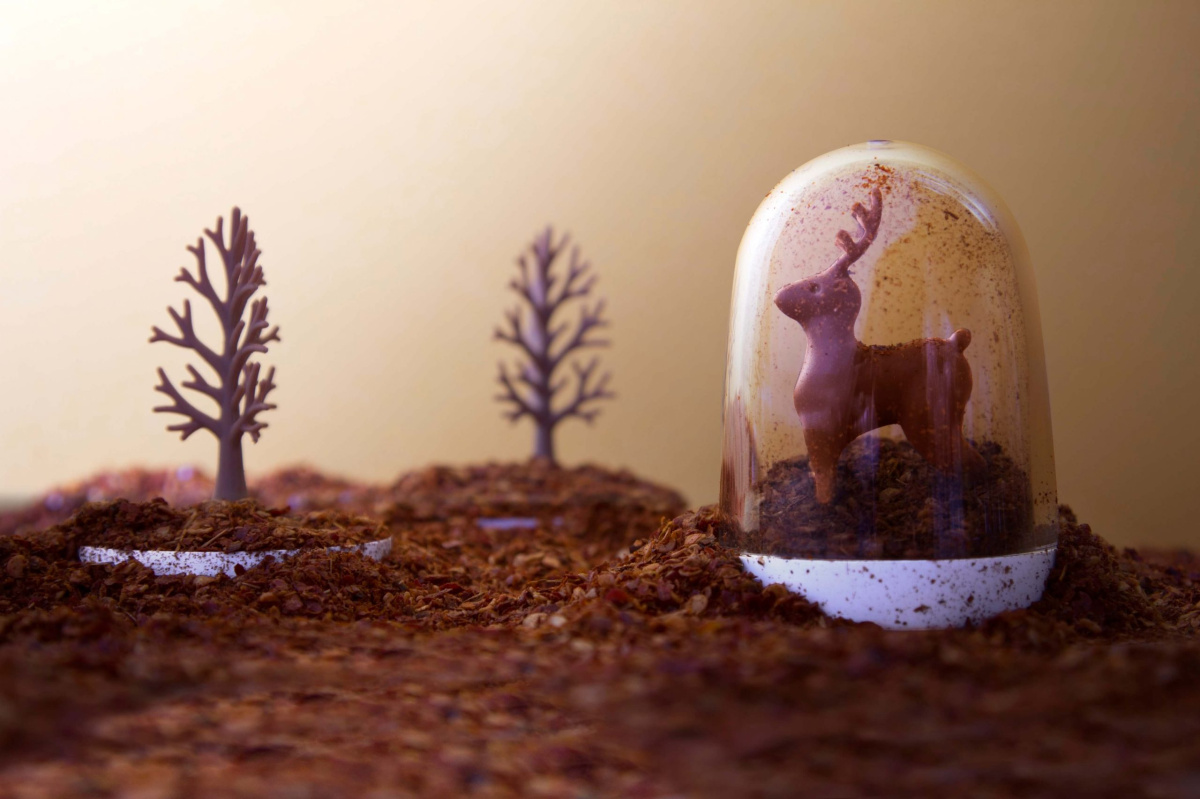 Сувенирная продукция Ёмкости для специй в наборе Animal Parade Заказать